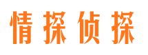 临安出轨调查